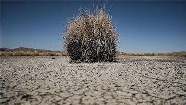 European Parliament members endorse new 2040 climate goal