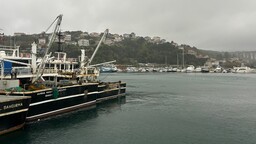 Boğaz'a nazır Poyraz Mahallesi sakinleri ekmeğini denizden çıkarıyor