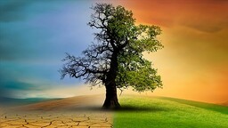 İklim değişikliği su yönetimini yeniden şekillendiriyor