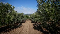 Azalan su kaynakları tarımda hem verimi hem de kaliteyi etkiliyor