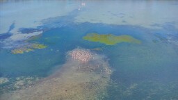 Türkiye'ye özgü su kalitesi ekolojik değerlendirme sistemi kurulacak