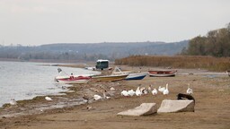 Sapanca Gölü'yle yaşam bulan kıyı yerleşimi Eşme'de susuz gelecek endişesi