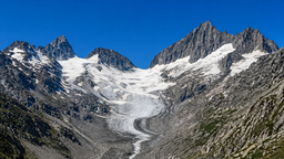 Alpler, buzullarını kaybediyor