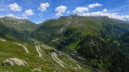Alplerde otlatmanın yeniden başlatılması daha dirençli ekosistemler sağlayabilir