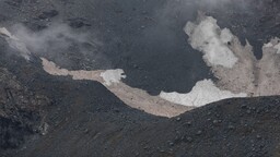 Alplerin bütün buzulları risk altında