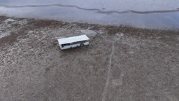 Sapanca Gölü'ndeki su çekilmesi domino etkisiyle biyoçeşitliliği baskı altına alıyor