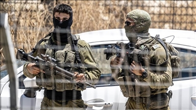 Ushtria izraelite hap zjarr ndaj bagëtisë në Sirinë jugore, vriten shumë kafshë