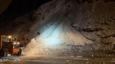 Van-Bitlis kara yolu çığ düşmesi sonucu ulaşıma kapandı 