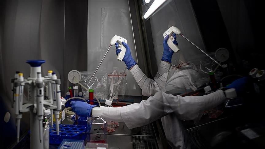 Скрининг, вакцинация, ранняя диагностика и отказ от табака играют ключевую роль в профилактике рака