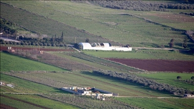 لبنان يعتزم فحص مواد كيميائية رشتها إسرائيل على أراض زراعية بالجنوب 