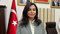 TBMM Suça Sürüklenen Çocuklara İlişkin Araştırma Komisyonu Başkanı Durgut, yol haritalarını anlattı