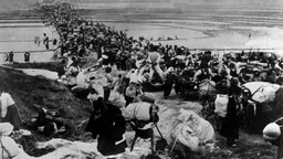 Ailelerinden ayrı düşenler, sevdiklerine kavuşamadan hayatlarını kaybediyor