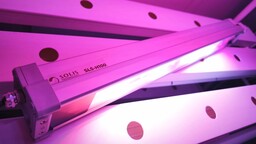 Kapalı tarım alanında verimi ve besin değerini