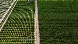 DOSYA: Tarımda Dijital Çağ