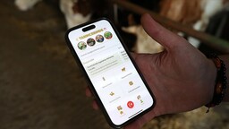 Uygulamalar, üreticilere ve vatandaşlara dijital çözümler sunuyor