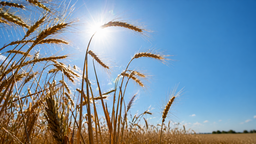 AB'de tarımsal faaliyetler, akıllı tarım ve dijital teknolojilerle yeniden şekilleniyor