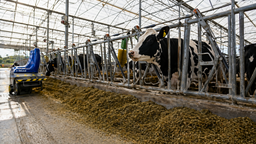 Tarım ve hayvancılıkta teknolojinin rolü TÜME ekosistemiyle güçleniyor