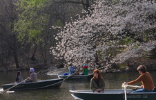 Hızın yorduğu hayatlar, yavaşlığın peşinde