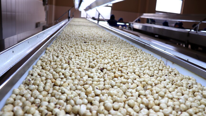 Ticaret borsalarında 7 ayda 261 bin tonu aşkın fındık işlem gördü