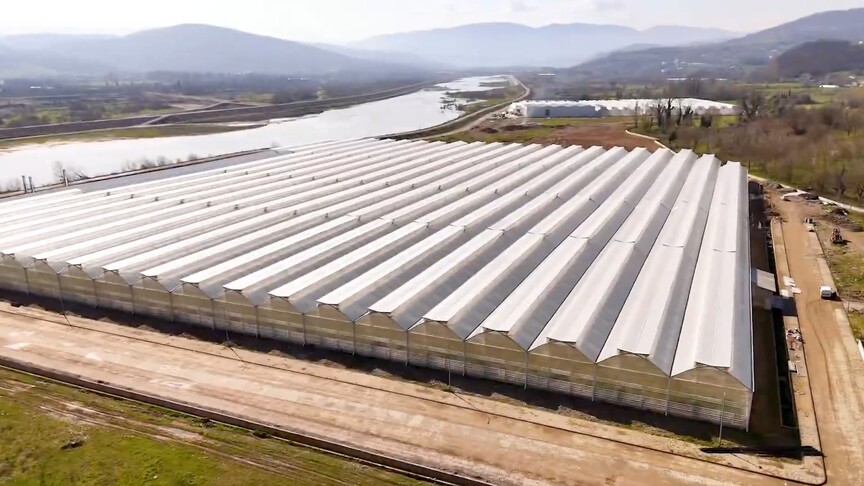 Zonguldak Çaycuma Sera Organize Tarım Bölgesi üretime başladı