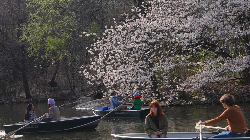 Mart 2026, dünyada kayıtlardaki en sıcak dördüncü mart ayı oldu