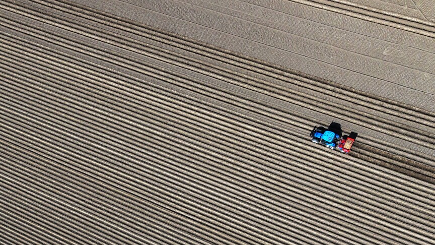 Körfez'deki savaşın mart ayında tarım sektörüne bütçesi belli oldu