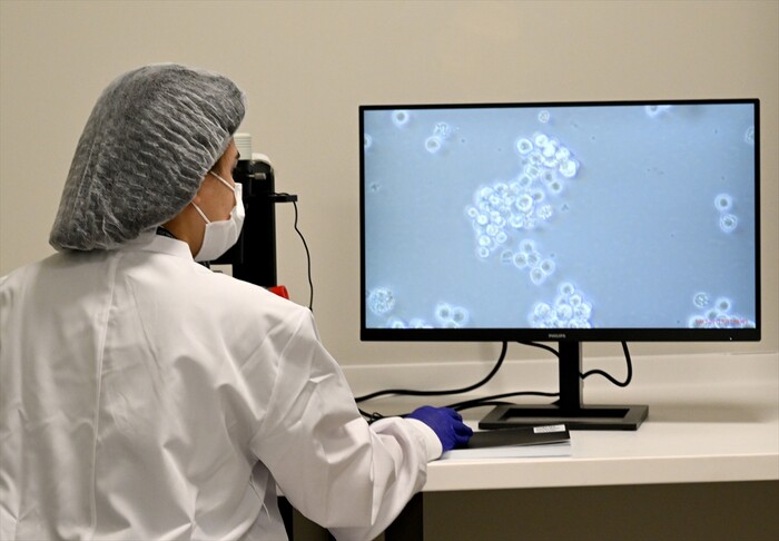 Türkiye'de kan kanseri hastaları için "hücre" tedavisi dönemi başladı