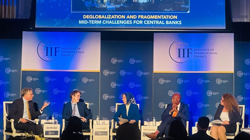 TCMB Başkan Yardımcısı Karahan, IIF Küresel Görünüm Forumu'nda konuştu