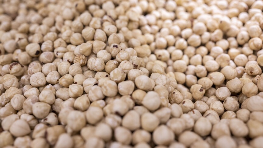 Doğu Karadeniz'den yılın ilk çeyreğinde 379 milyon dolarlık fındık ihracatı