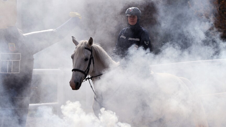 Jandarmanın sahadaki yardımcıları zorlu eğitimden geçiyor
