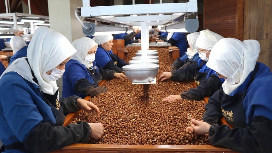 **Fındık İhracatındaki Kadın Çalışanların Katkısı**