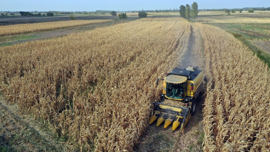Hububat üretiminde gözler bahar yağışları ve sıcaklıklara çevrildi