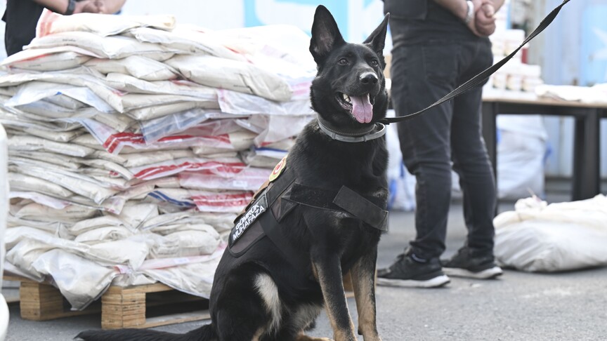 Gümrükler Muhafaza ekipleri, 2 ayrı operasyonda 420 kilogram uyuşturucu ele geçirdi