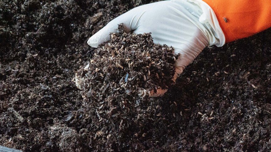 ABD, G20 kapsamında gıda ve gübre konularında görüşmeler düzenleyecek