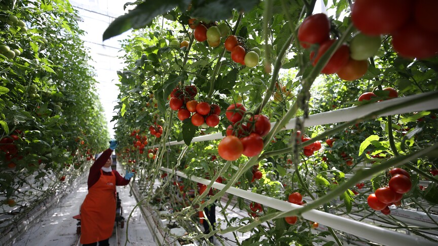 Marmara'daki iller kalkınmada İstanbul'un partneri olacak