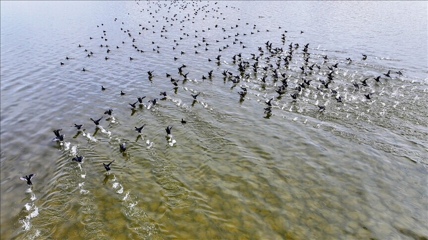Lokalitetet e UNESCO s mbrojnë jetën e egër  klimën dhe jetesën pavarësisht presioneve në rritje