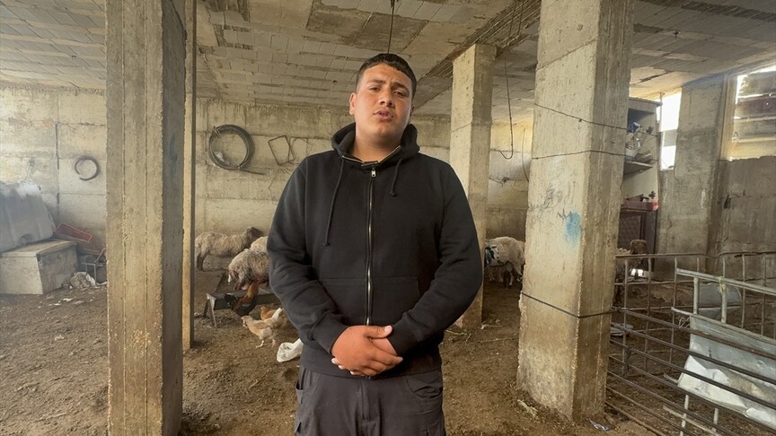 Filistin topraklarını gasbeden İsraillilerin saldırıları, Filistinlileri geçim kaynaklarından koparıyor