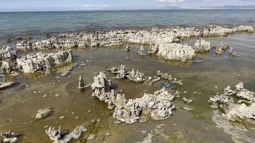 Van Gölü'ndeki mikrobiyalitler için "Guinness Rekorlar Kitabı" süreci başlatıldı