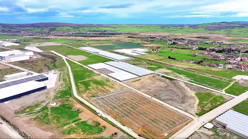 Samsun Bafra Sera Organize Tarım Bölgesi'nden ekonomiye yıllık 1,5 milyar lira katkı
