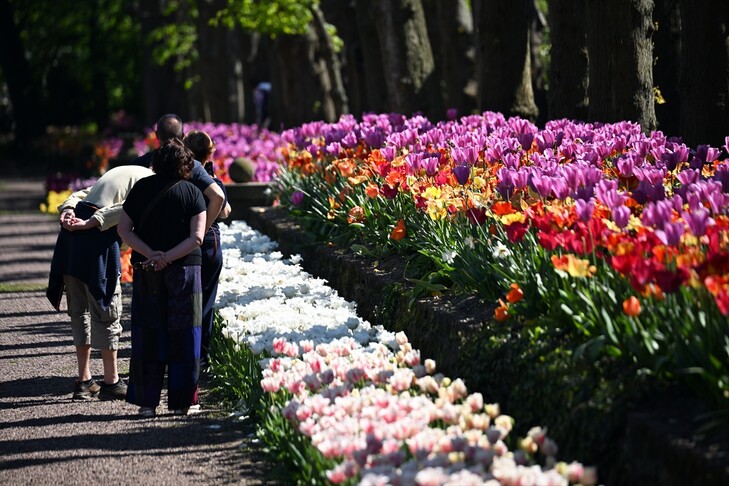 Ekspozita e luleve Floralia Brussels sjell një shpërthim ngjyrash në Kështjellën Groot Bijgaarden