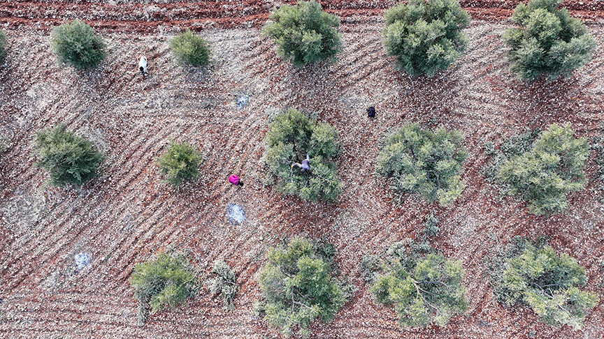 Güneydoğu'daki 9 ilin üretim çeşitliliğini artıracak yatırımlar teşviklerle ivme kazanacak