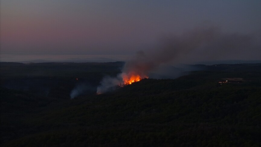 Beykoz'da ormanlık alanda çıkan yangın kontrol altına alındı