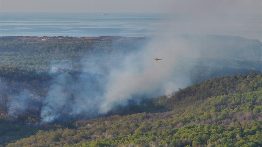 Beykoz'da ormanlık alanda çıkan yangına müdahale sürüyor