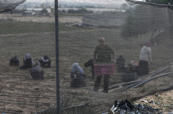 Gaza agriculture struggles as farmers turn to food waste, animal manure after Israeli war