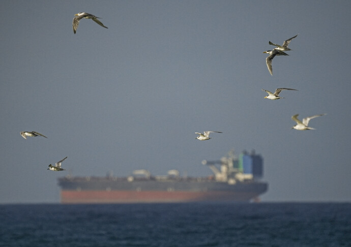 EU seeks lasting peace in Mideast, restoration of Hormuz navigation: Commission chief