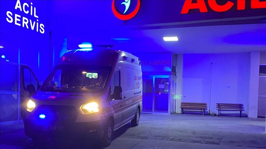Van'da sahipsiz köpeklerin saldırısı sonucu bir çocuk hayatını kaybetti, bir çocuk yaralandı
