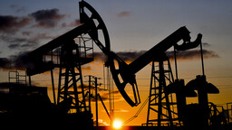 BAE'nin ayrılık kararı OPEC'te dengeleri değiştiriyor