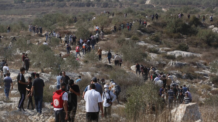 AB, İsraillilerin saldırılarından etkilenen Batı Şeria'daki Filistinlilere yardım programı başlatacağını duyurdu