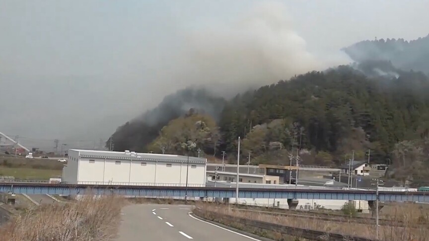 Japonya'nın kuzeydoğusundaki orman yangınları 11. gününde kontrol altına alındı