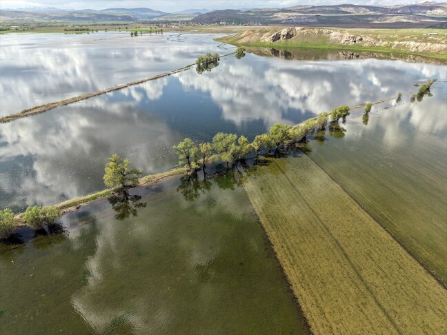 Sivas'ta 1500 dönüm tarım arazisi su altında kaldı
